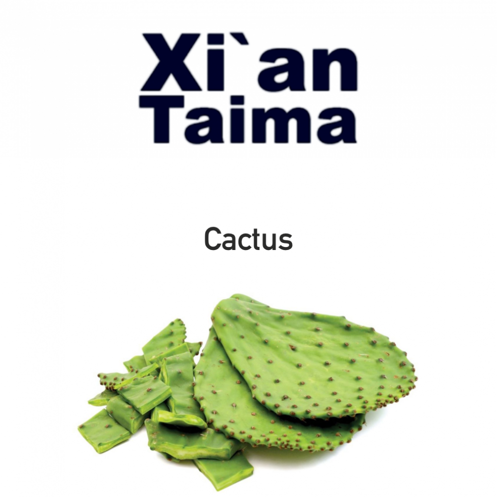 XT Cactus / Кактус 10мл